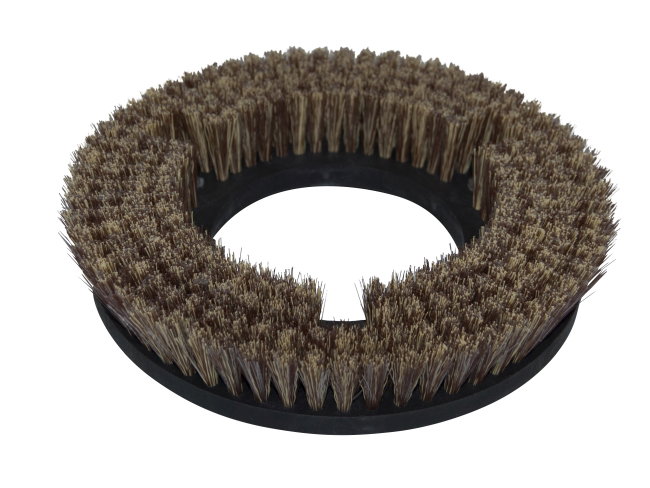 Produktbild Tellerbürste - Ø 290 mm für Tennant Nobles Speed Scrub 2400