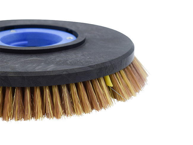 Produktbild Reinigungsbürste-Set (2 Stück) - Ø 260 mm für Kenter (Comac) i-Mop / i-Mop XXL