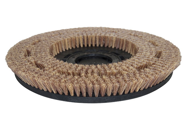 Produktbild Tellerbürste - Ø 480 mm für Nilfisk-Group Encore L 38