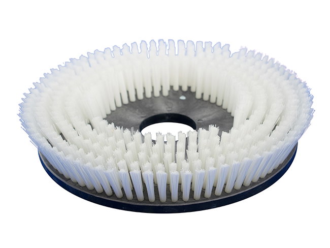 Produktbild Tellerbürste - Ø 255 mm für Floorpul Ruby 55