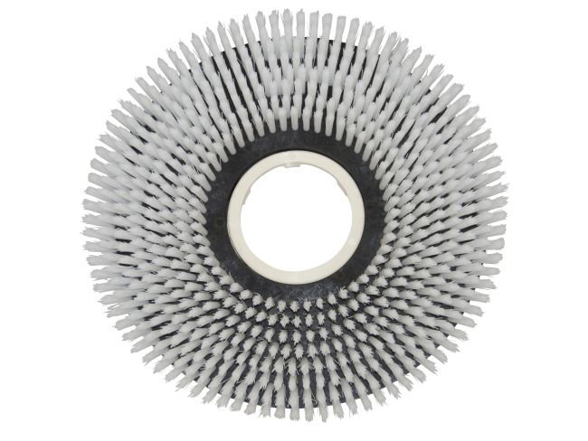 Produktbild Tellerbürste - Ø 405 mm für Taski Swingo 3500