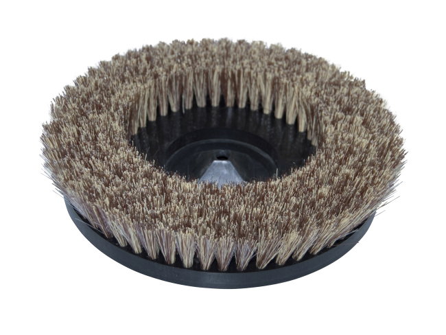 Produktbild Tellerbürste - Ø 275 mm für Wetrok Duomatic 550