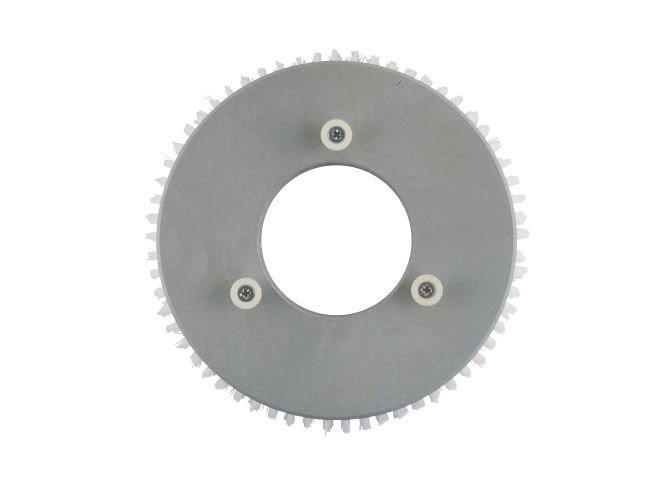 Produktbild Tellerbürste - Ø 205 mm für Wetrok Duomatic C 43