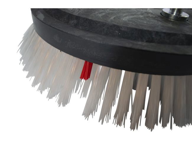 Produktbild Tellerbürste - Ø 250 mm für Cleanfix RA 561