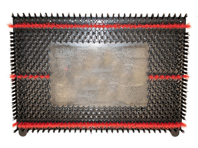Produktbild Sonic Scrub Bürste 510 / 356 mm rechteckig für Tomcat Stick EDGE 20"