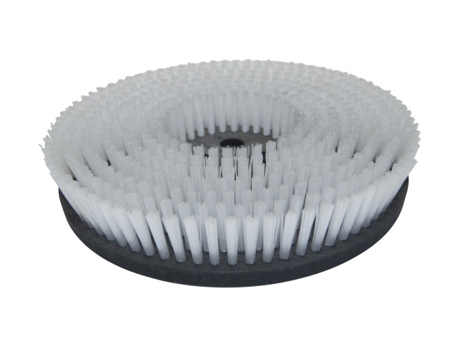 Produktbild Tellerbürste - Ø 255 mm für Cimex Eagle EB 600