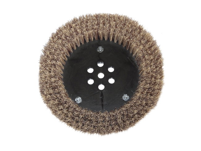 Produktbild Tellerbürste - Ø 315 mm für Tennant T 16