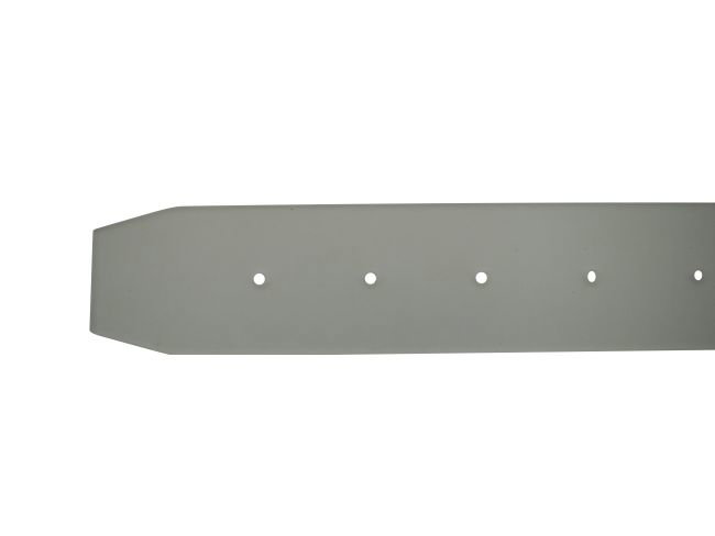 Produktbild Sauglippe vorne für Taski Swingo 2100