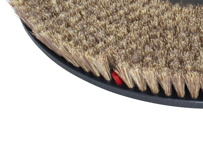 Produktbild Polierbürste - Ø 505 mm für Gansow (IPC-Gansow) CT 230 BT 105