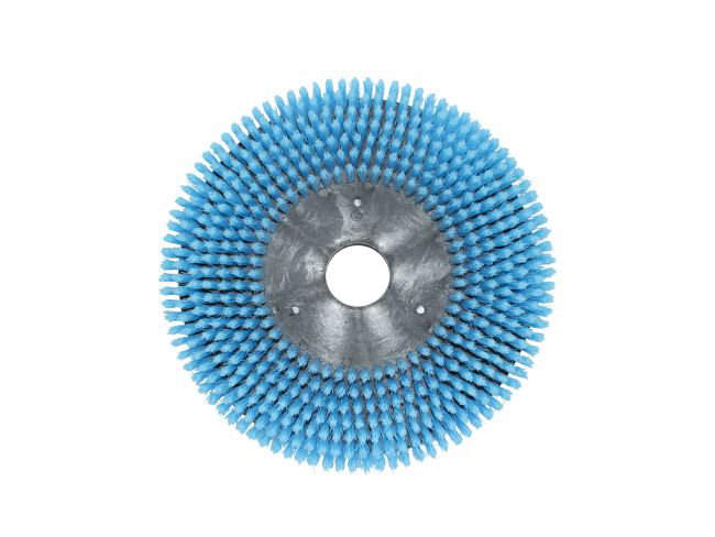 Produktbild Shampoonierbürste - Ø 320 mm für Comac Versa 65 BT
