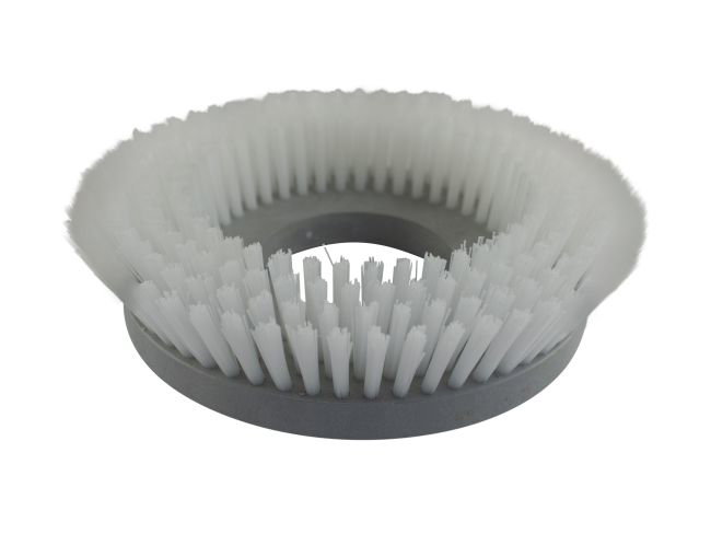 Produktbild Tellerbürste - Ø 205 mm für Wetrok Duomatic C 43