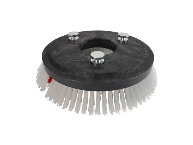 Produktbild Tellerbürste - Ø 250 mm für Cleanfix RA 560