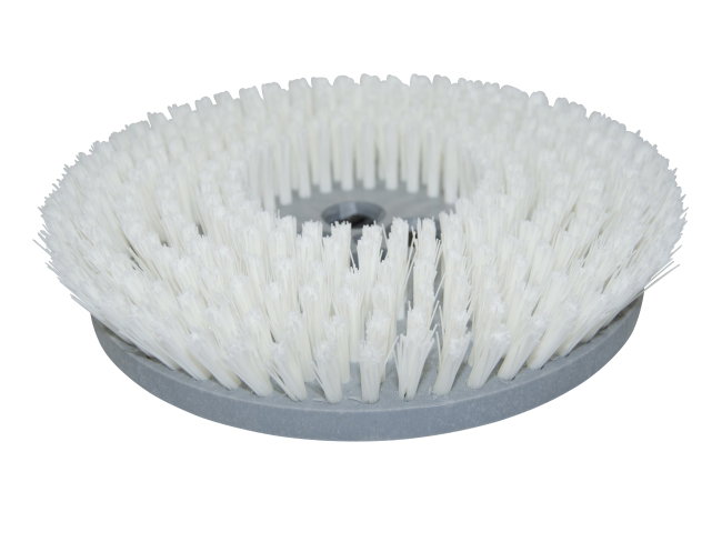 Produktbild Tellerbürste - Ø 255 mm für Cimex Eagle EB 600