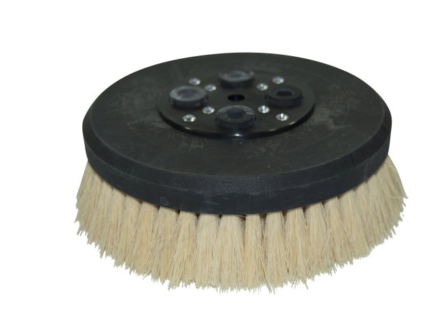 Produktbild Tellerbürste - Ø 165 mm für Cimex Serie 38