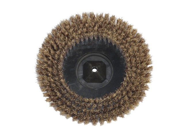 Produktbild Tellerbürste - Ø 275 mm für Wetrok Duomatic 550