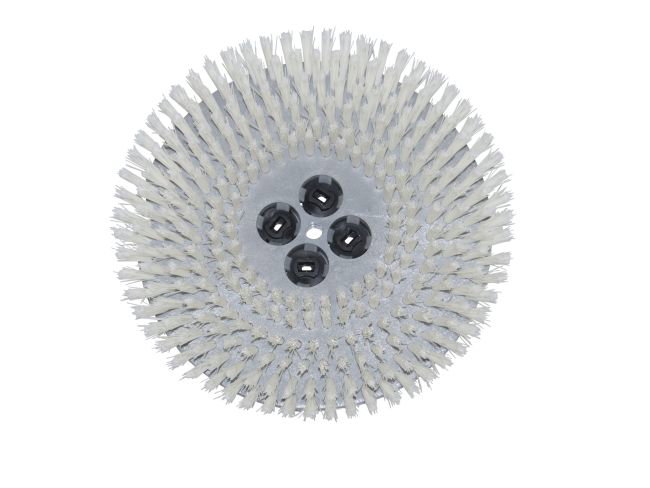 Produktbild Tellerbürste - Ø 255 mm für Cimex Eagle EB 600